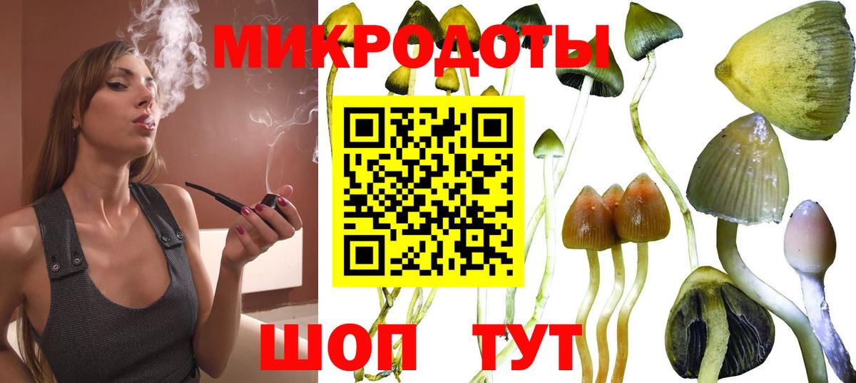 Саяногорск  магазин  наркотиков  Вход с VPN  Псилоцибиновые грибы мухоморы  Псилоцибиновые грибы мицелий 