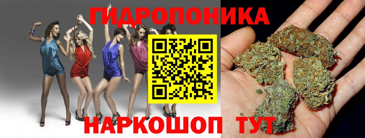 Конопля Ganja Саяногорск
